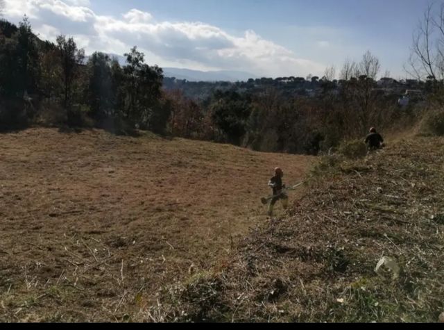 Limpieza de parcelas desbroce