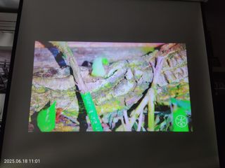 Proyector Yaber 1080p + Soporte Techo