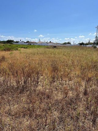 Terreno en venta en Pinar de los Franceses - Marquesado en Chiclana de la Frontera