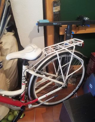 Bicicleta de paseo