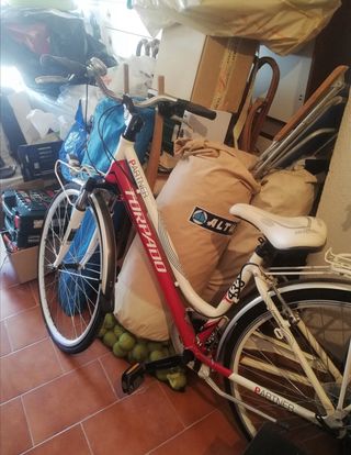 Bicicleta de paseo