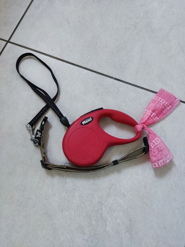 Guinzaglio Flexi per cani rosso