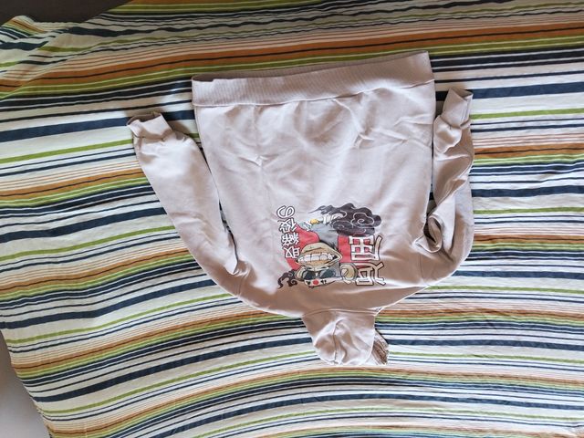 Felpa uomo beige con stampa