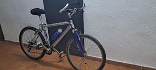 Bicicleta de Montaña Globe Trotter