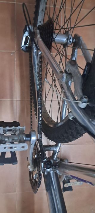 Bicicleta de Montaña Globe Trotter
