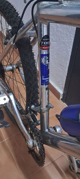 Bicicleta de Montaña Globe Trotter