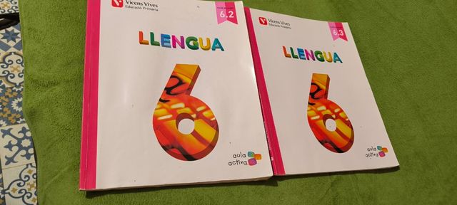 LLENGUA 6 (6.2-6.3) BALEARS (AULA ACTIVA)