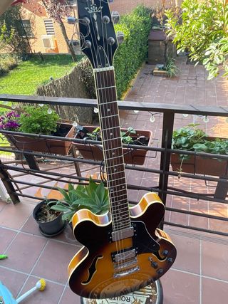 Guitarra Eléctrica Richwood RE-400