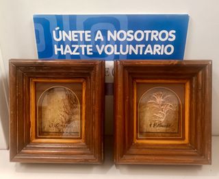 Cuadros antiguos de Plantas Reales en Madera