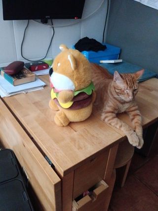 Peluche de perro hamburguesa