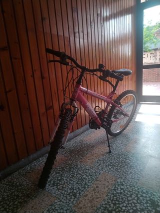 Bicicleta Niña Neon X-Team Pro Rosa