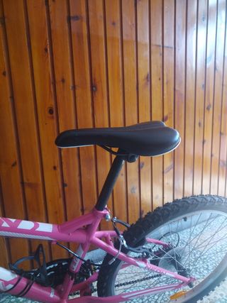 Bicicleta Niña Neon X-Team Pro Rosa