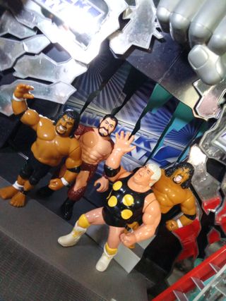 Lote wwf hasbro Lex