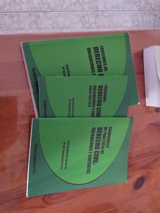 Lecciones de derecho civil Obligaciones y contr...