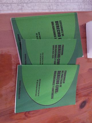 Lecciones de derecho civil Obligaciones y contr...