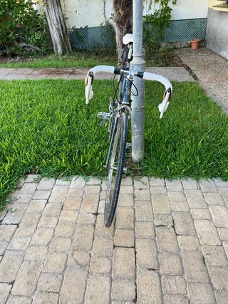 Bicicleta CLASSIC PEUGEOT Shimano SIS