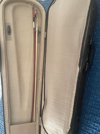 Violín completo con funda