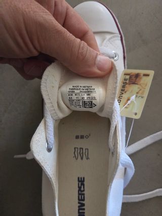 Converse All Star Rosa e Bianche