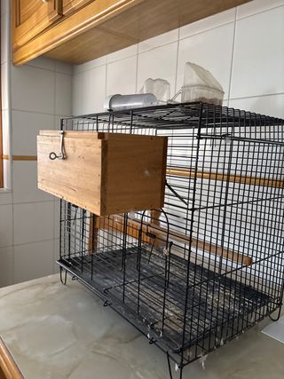 Jaula para pájaros con caja de madera
18,5x17,5 cm