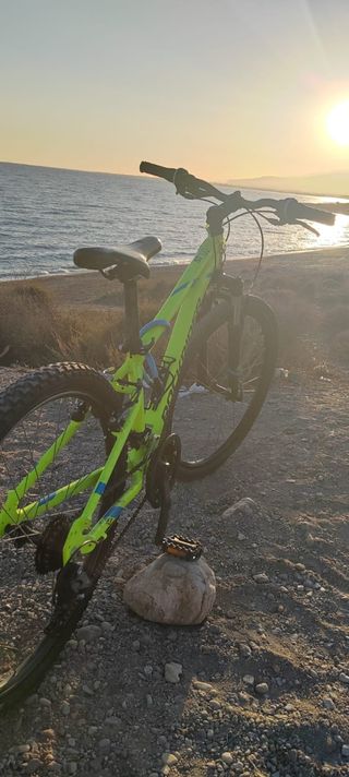 Bicicleta Montaña Rockrider ST100 Verde