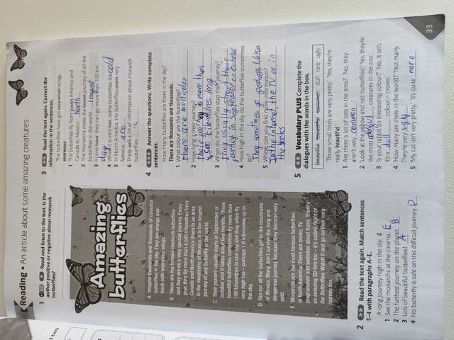 Together 1. Workbook