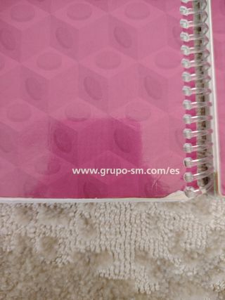 Piensa, matemáticas, la metodología Singapur