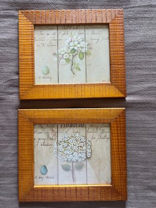 Set de 2 cuadros decorativos de flores