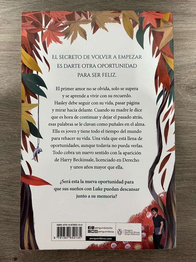 Boulevard. Libro 2: Después de él