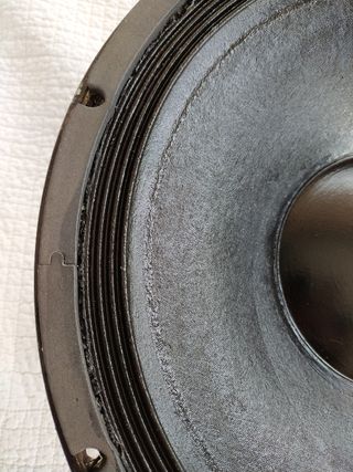 Altavoz Peavey Black Widow 15