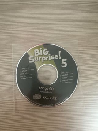 Big Surprise! 5. Class Book