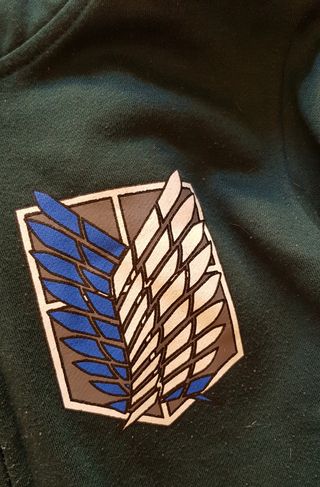 Sudadera Anime Attack on Titan Verde. (Shingeki)