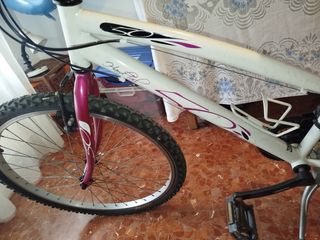 Bicicleta de montaña blanca