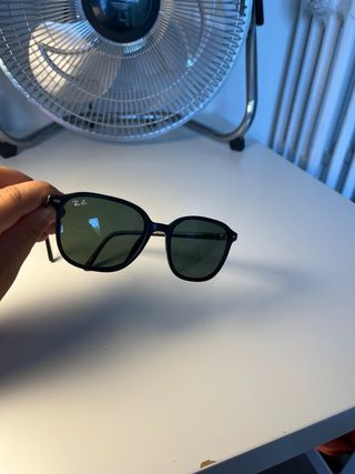 Gafas de sol Ray-Ban Leonard RB2193 Negras
