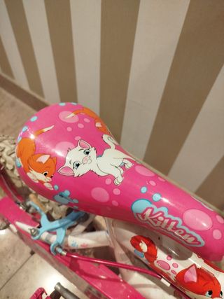 Bicicleta infantil niña 4-6 años