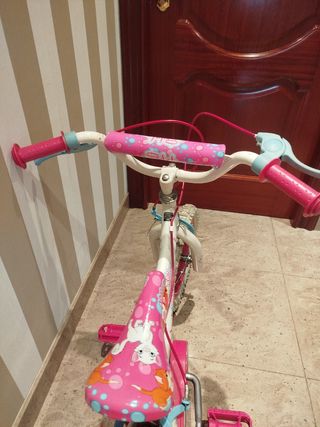 Bicicleta infantil niña 4-6 años
