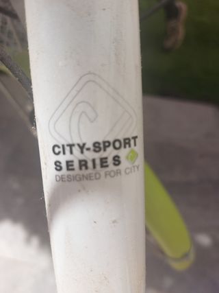 Bicicleta urbana con cesta