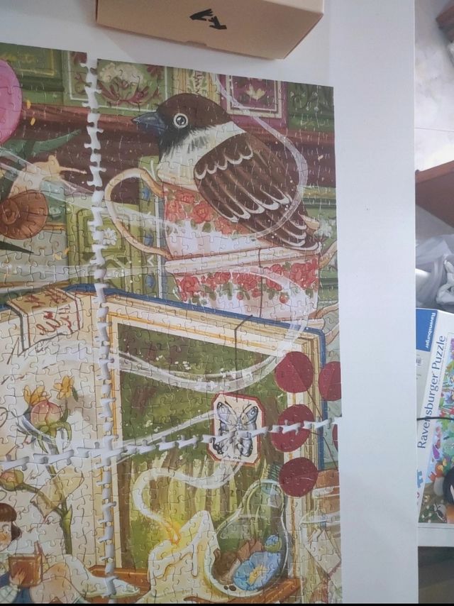 Puzzle 1000 pezzi stopuzzle