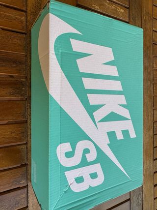 Zapatillas Nike SB Force 58 Beige/Azul