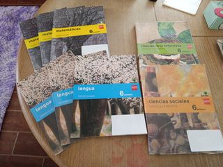 Libros de texto de sexto de primaria