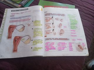 Proyecto: FanFest. Ciencias de la Naturaleza 6 ...