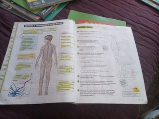 Proyecto: FanFest. Ciencias de la Naturaleza 6 ...