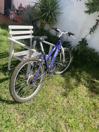 Bicicleta de Montaña TH Sport Azul
