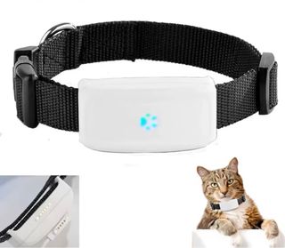 Localizador GPS para Mascotas