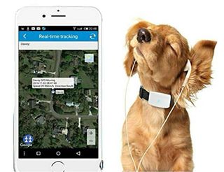 Localizador GPS para Mascotas
