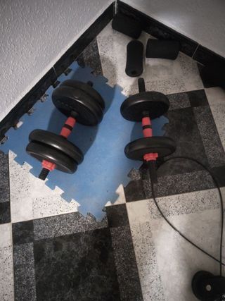Gimnasio 