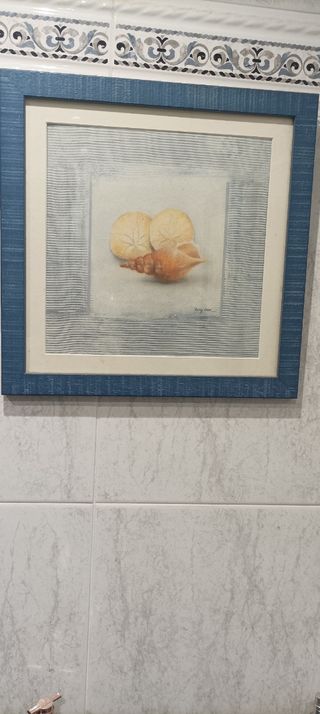 Cuadro decorativo baño conchas y arena