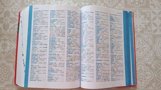 Diccionario de Primaria