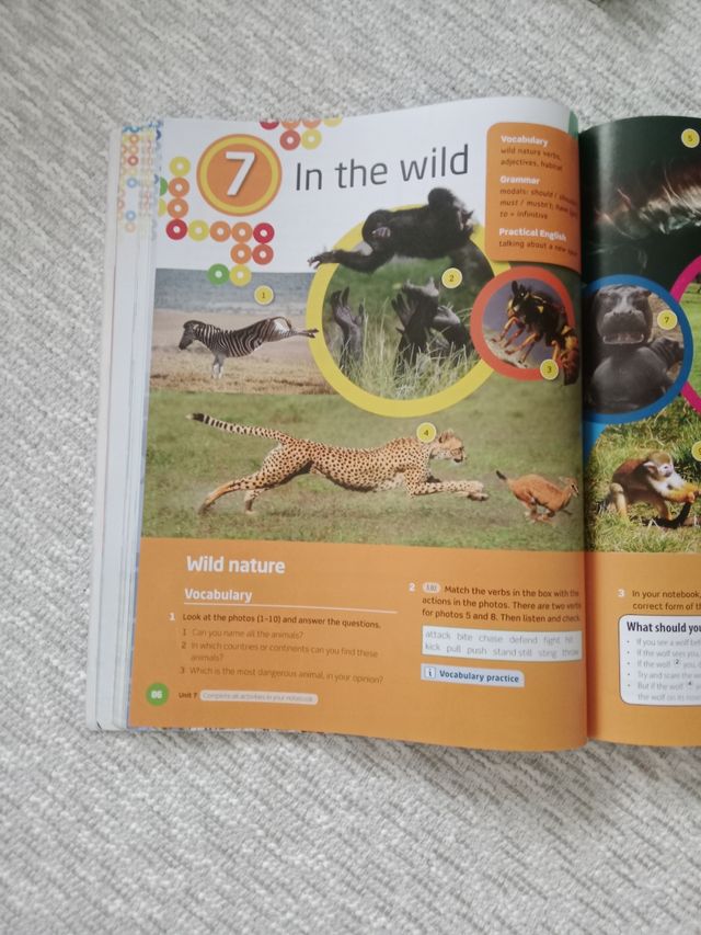 Spectrum 2. Student's Book