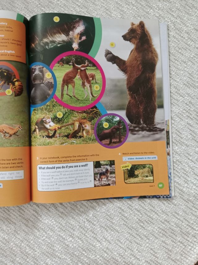 Spectrum 2. Student's Book