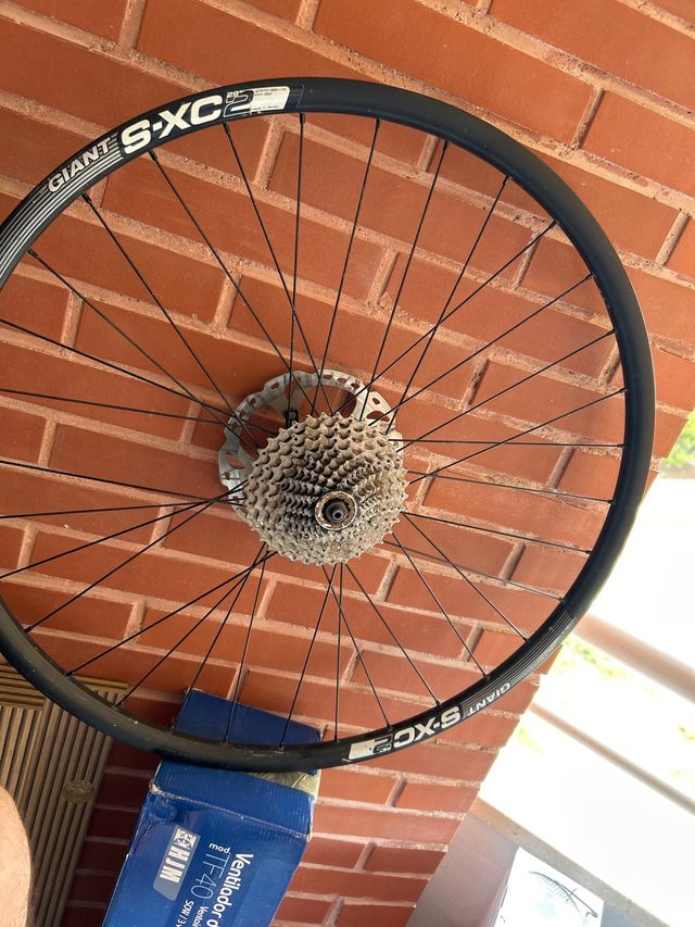 Ruedas Giant S-XC2 29 con Cassette